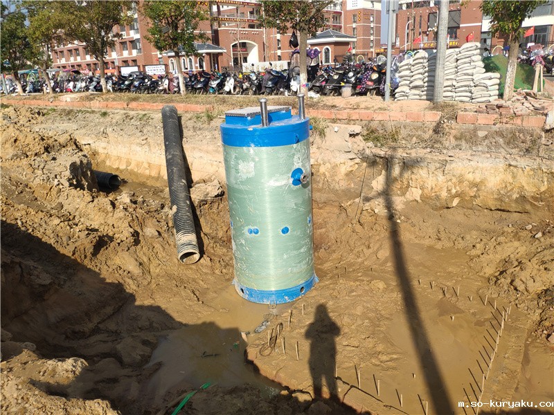 贵州一体化预制泵站-耐化学腐蚀-适应特殊介质